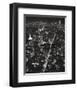 Night View of Lower Manhattan-Christopher Bliss-Framed Art Print