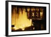 Night View of Metropolitan Opera House-null-Framed Photographic Print