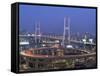 Night View of Nanpu Bridge and Huangpu River, Shanghai, China-Steve Vidler-Framed Stretched Canvas