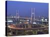 Night View of Nanpu Bridge and Huangpu River, Shanghai, China-Steve Vidler-Stretched Canvas