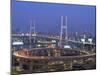 Night View of Nanpu Bridge and Huangpu River, Shanghai, China-Steve Vidler-Mounted Photographic Print