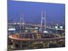 Night View of Nanpu Bridge and Huangpu River, Shanghai, China-Steve Vidler-Mounted Photographic Print