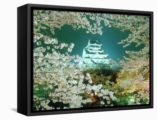 Night View of Osaka Castle & Cherry Blossoms, Japan-null-Framed Stretched Canvas