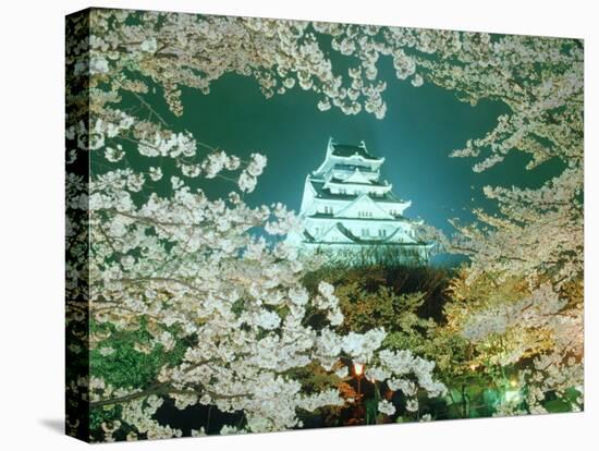Night View of Osaka Castle & Cherry Blossoms, Japan-null-Stretched Canvas