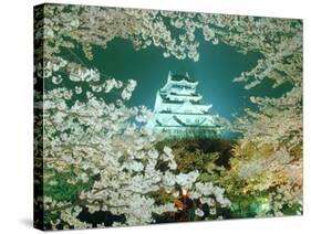 Night View of Osaka Castle & Cherry Blossoms, Japan-null-Stretched Canvas