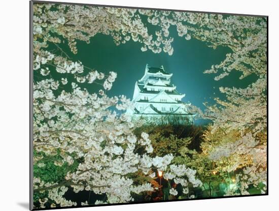 Night View of Osaka Castle & Cherry Blossoms, Japan-null-Mounted Photographic Print