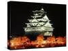 Night View of Osaka Castle with Cherry Blossoms, Japan-null-Stretched Canvas