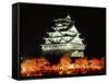 Night View of Osaka Castle with Cherry Blossoms, Japan-null-Framed Stretched Canvas