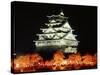 Night View of Osaka Castle with Cherry Blossoms, Japan-null-Stretched Canvas