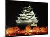 Night View of Osaka Castle with Cherry Blossoms, Japan-null-Mounted Premium Photographic Print