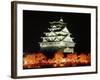 Night View of Osaka Castle with Cherry Blossoms, Japan-null-Framed Photographic Print
