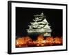 Night View of Osaka Castle with Cherry Blossoms, Japan-null-Framed Photographic Print