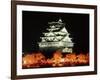 Night View of Osaka Castle with Cherry Blossoms, Japan-null-Framed Photographic Print