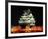 Night View of Osaka Castle with Cherry Blossoms, Japan-null-Framed Photographic Print