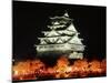 Night View of Osaka Castle with Cherry Blossoms, Japan-null-Mounted Photographic Print