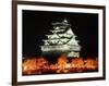 Night View of Osaka Castle with Cherry Blossoms, Japan-null-Framed Photographic Print