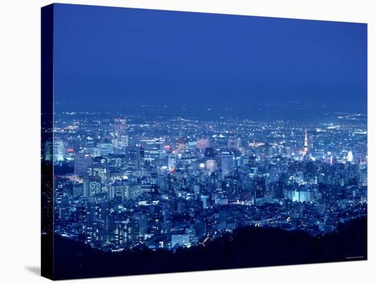 Night View of Sapporo-null-Stretched Canvas