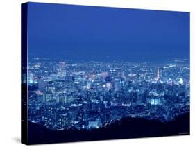 Night View of Sapporo-null-Stretched Canvas