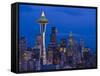 Night View of Seattle Skyline with Christmas Tree on the Space Needle-Terry Eggers-Framed Stretched Canvas