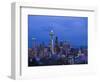 Night View of Seattle Skyline with Christmas Tree on the Space Needle-Terry Eggers-Framed Photographic Print