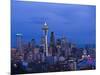 Night View of Seattle Skyline with Christmas Tree on the Space Needle-Terry Eggers-Mounted Photographic Print