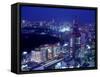 Night View of Shinjuku-null-Framed Stretched Canvas