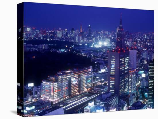 Night View of Shinjuku-null-Stretched Canvas