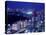 Night View of Shinjuku-null-Stretched Canvas