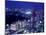 Night View of Shinjuku-null-Mounted Photographic Print