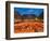 Night View of the Grand Place with Flower Carpet and Ornate Buildings, Brussels, Belgium-Bill Bachmann-Framed Photographic Print