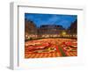 Night View of the Grand Place with Flower Carpet and Ornate Buildings, Brussels, Belgium-Bill Bachmann-Framed Photographic Print