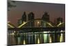 Night View of the Haizhu Bridge, the Pearl River-null-Mounted Giclee Print