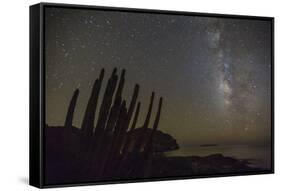 Night View of the Milky Way with Organ Pipe Cactus (Stenocereus Thurberi) in Foreground-Michael Nolan-Framed Stretched Canvas