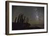 Night View of the Milky Way with Organ Pipe Cactus (Stenocereus Thurberi) in Foreground-Michael Nolan-Framed Photographic Print