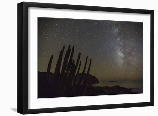 Night View of the Milky Way with Organ Pipe Cactus (Stenocereus Thurberi) in Foreground-Michael Nolan-Framed Photographic Print