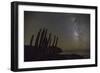 Night View of the Milky Way with Organ Pipe Cactus (Stenocereus Thurberi) in Foreground-Michael Nolan-Framed Photographic Print