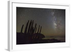 Night View of the Milky Way with Organ Pipe Cactus (Stenocereus Thurberi) in Foreground-Michael Nolan-Framed Photographic Print