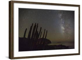 Night View of the Milky Way with Organ Pipe Cactus (Stenocereus Thurberi) in Foreground-Michael Nolan-Framed Photographic Print