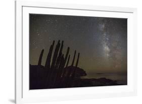 Night View of the Milky Way with Organ Pipe Cactus (Stenocereus Thurberi) in Foreground-Michael Nolan-Framed Photographic Print