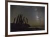 Night View of the Milky Way with Organ Pipe Cactus (Stenocereus Thurberi) in Foreground-Michael Nolan-Framed Photographic Print