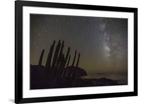 Night View of the Milky Way with Organ Pipe Cactus (Stenocereus Thurberi) in Foreground-Michael Nolan-Framed Photographic Print
