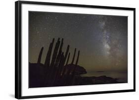 Night View of the Milky Way with Organ Pipe Cactus (Stenocereus Thurberi) in Foreground-Michael Nolan-Framed Photographic Print