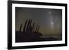 Night View of the Milky Way with Organ Pipe Cactus (Stenocereus Thurberi) in Foreground-Michael Nolan-Framed Photographic Print