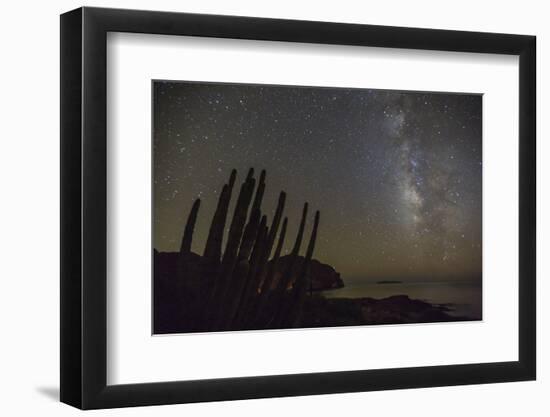 Night View of the Milky Way with Organ Pipe Cactus (Stenocereus Thurberi) in Foreground-Michael Nolan-Framed Photographic Print