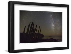 Night View of the Milky Way with Organ Pipe Cactus (Stenocereus Thurberi) in Foreground-Michael Nolan-Framed Photographic Print