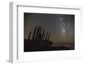 Night View of the Milky Way with Organ Pipe Cactus (Stenocereus Thurberi) in Foreground-Michael Nolan-Framed Photographic Print