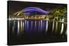 Night View of the Puerto Rican Convention Center-George Oze-Stretched Canvas