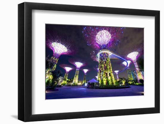 Night View of the Supertree Grove at Gardens-SurangaWeeratunga-Framed Photographic Print