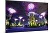 Night View of the Supertree Grove at Gardens-SurangaWeeratunga-Mounted Photographic Print