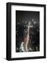 Night View of Tokyo from Tokyo City View Observation Deck, Roppongi Hills, Tokyo, Japan-Stuart Black-Framed Photographic Print